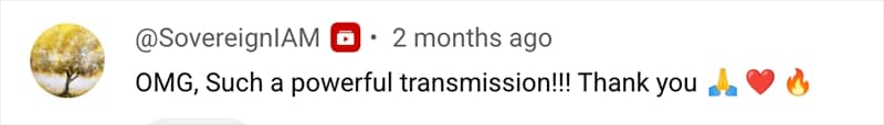 YouTube Comment Testimonial 1